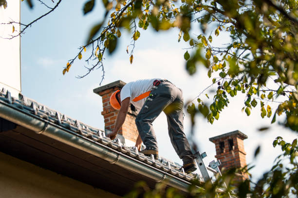 Best Chimney Flashing Repair  in Jefferson, WI